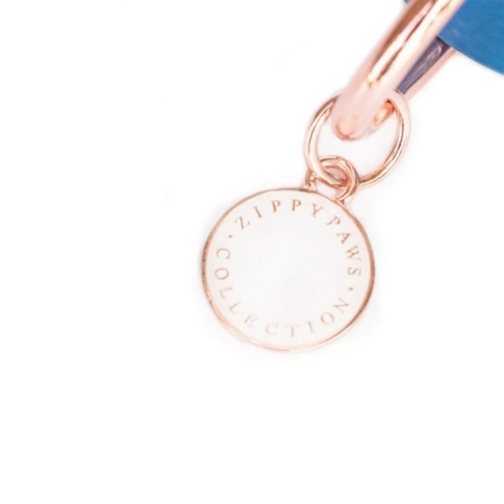 ZippyPaws Vivid Collection Magenta Dog Collar - Suhuit