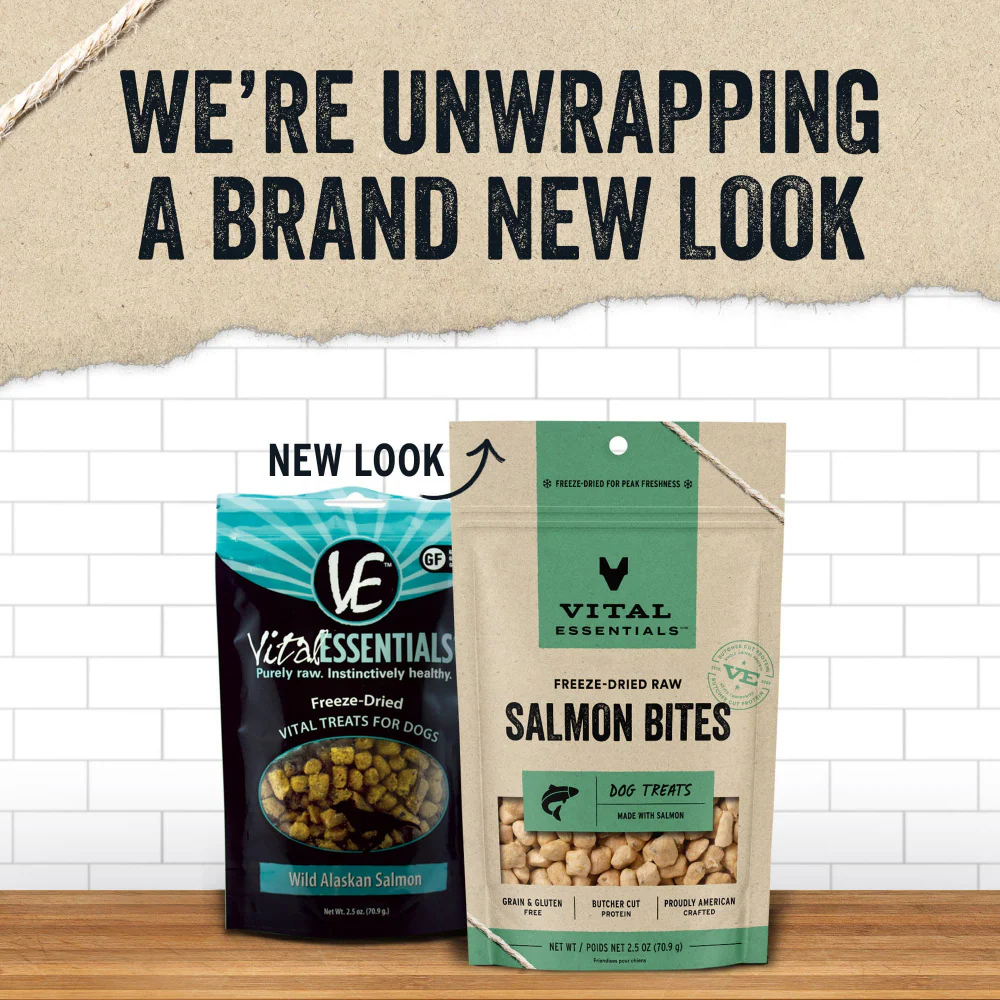 Vital Essentials Freeze Dried Raw Salmon Bites Dog Treats - Suhuit