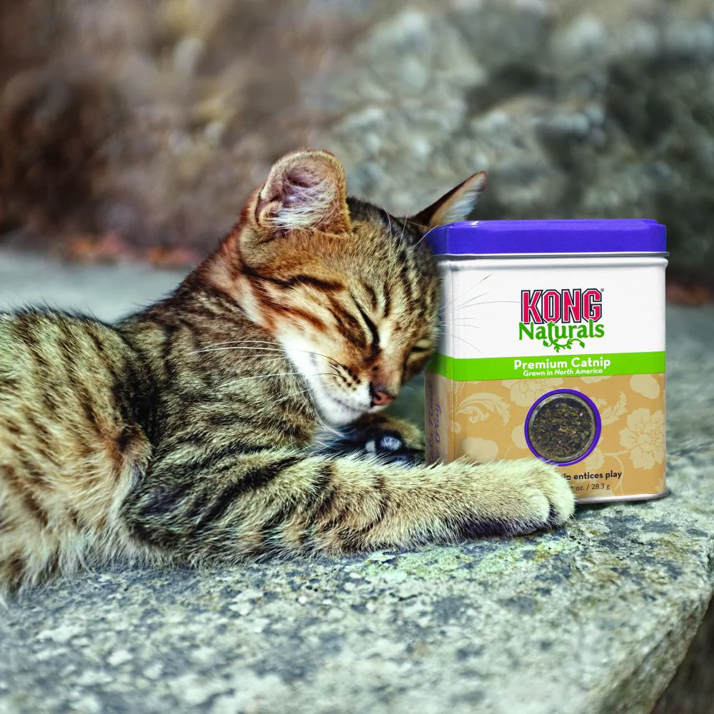 Kong Naturals Premium Catnip - Suhuit