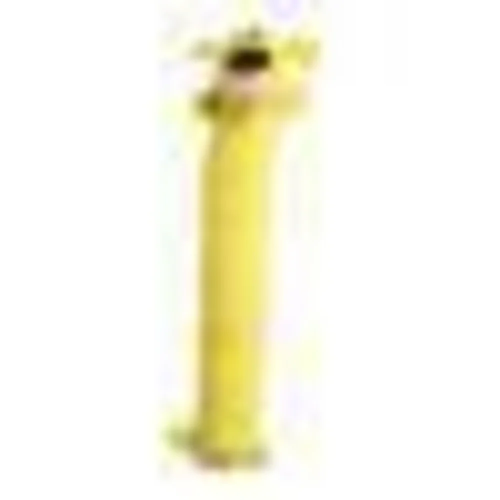 MultiPet Loofa Dog Toy - Suhuit