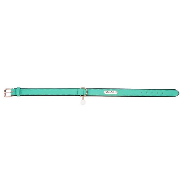 ZippyPaws Vivid Collection Teal Dog Collar - Suhuit