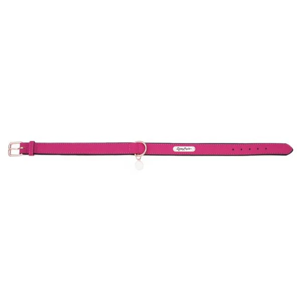 ZippyPaws Vivid Collection Magenta Dog Collar - Suhuit