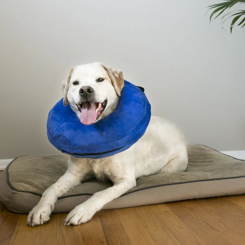 Kong Cloud Collar For Dogs - Suhuit