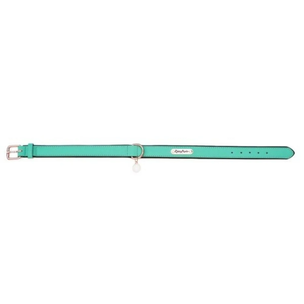 ZippyPaws Vivid Collection Teal Dog Collar - Suhuit