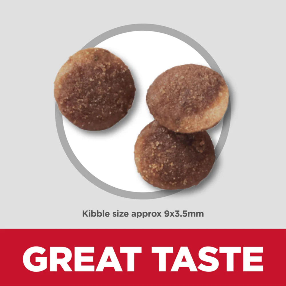 Hill's Science Diet Adult Sensitive Stomach & Skin Pollock Meal & Barley Recipe Dry Cat Food - Suhuit