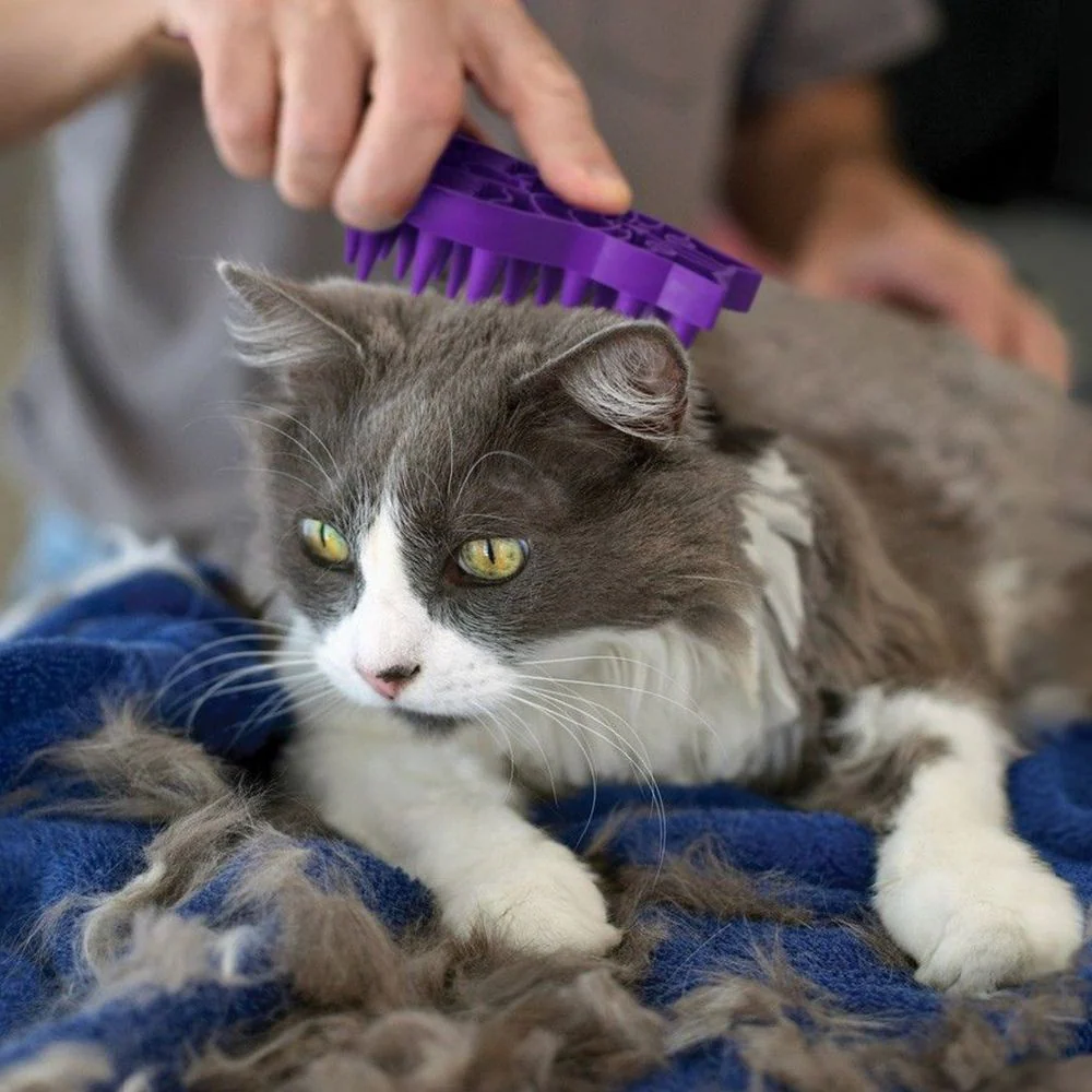 Kong Cat Zoom Groom - Suhuit