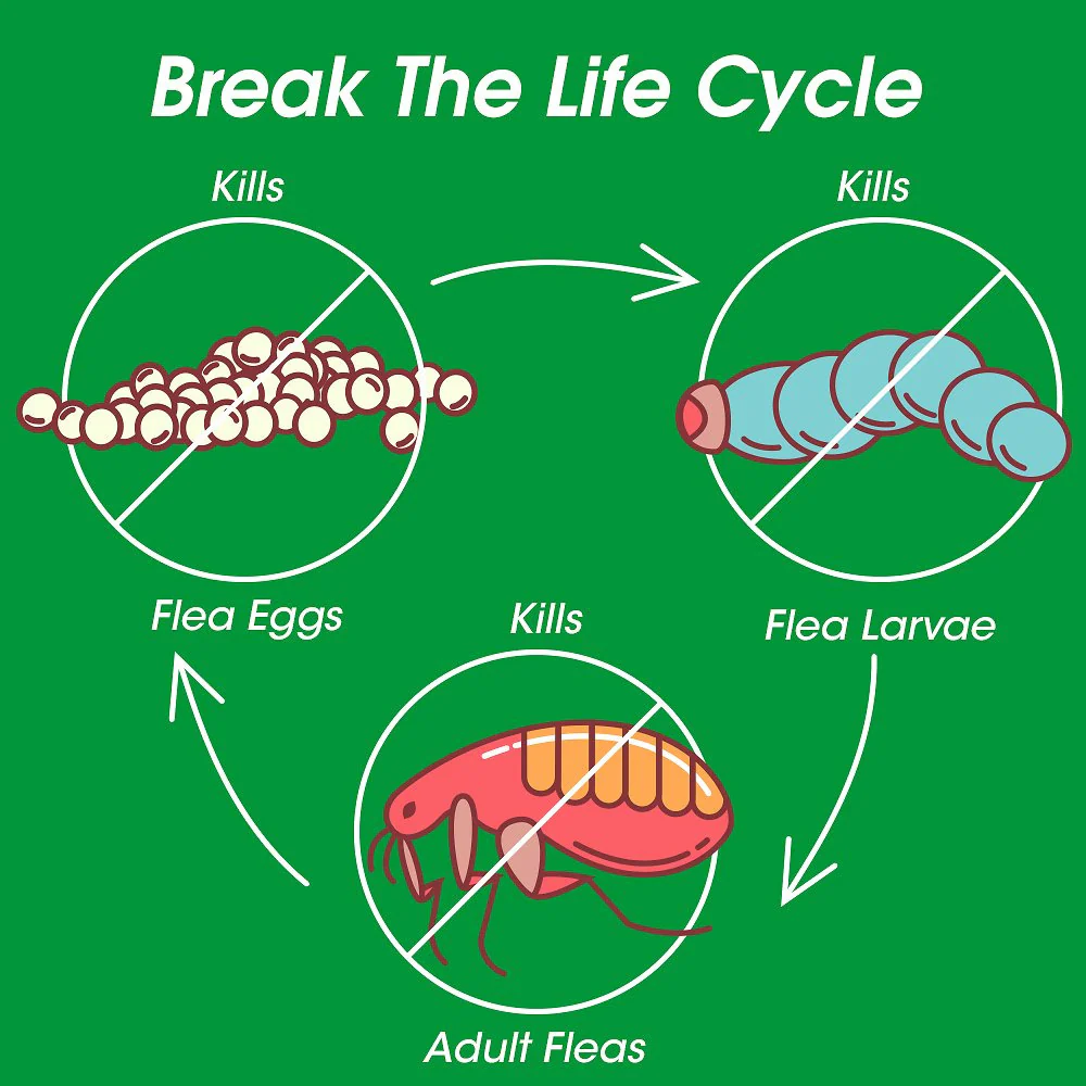 Frontline Plus for Large Dogs - Suhuit