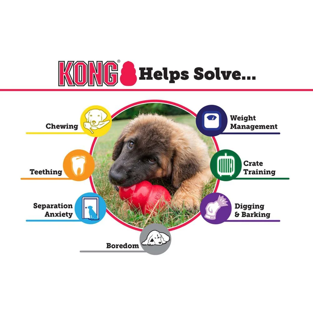 Kong Extreme Dog Toy - Suhuit