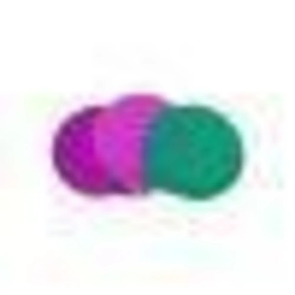 Ethical Pet Pet Food Can Covers-3 Pack - Suhuit