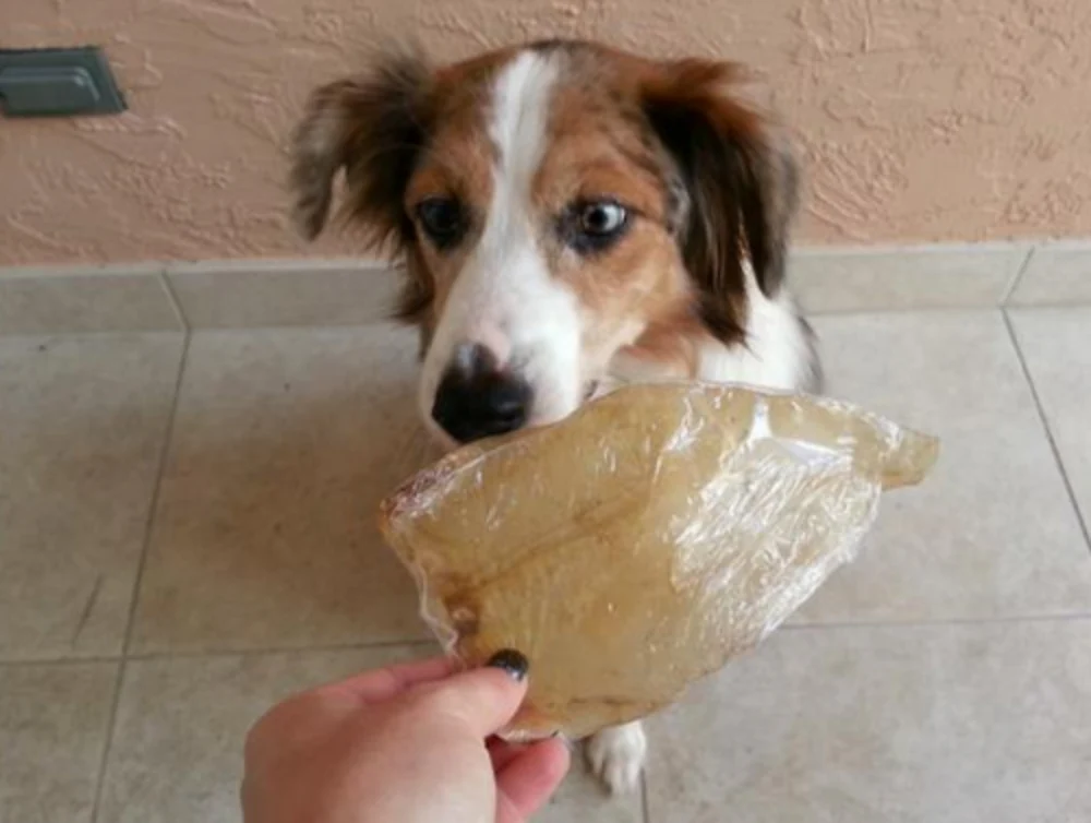 Bingo Free Range Buffalo Ears for Dogs - Suhuit