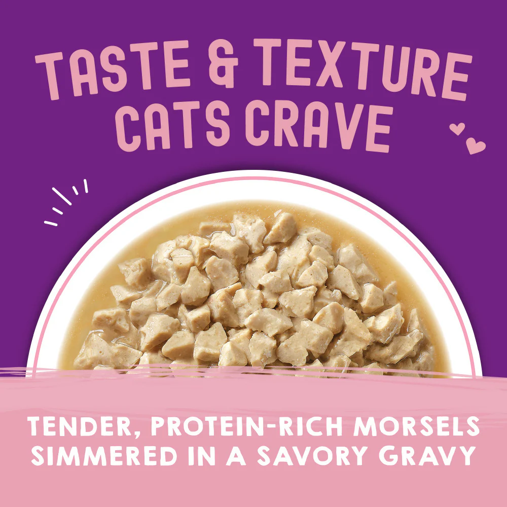 Stella & Chewy's Carnivore Cravings Morsels N Gravy Chicken & Salmon Recipe Pouch Cat Food - Suhuit