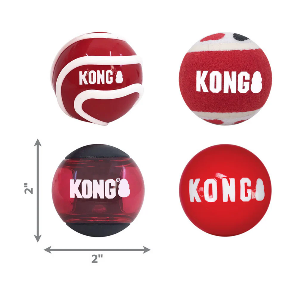 Kong Signature Balls 4 pack Assorted - Suhuit