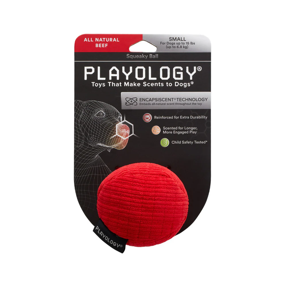 Playology Plush Ball Beef Scented Dog Toy - Suhuit