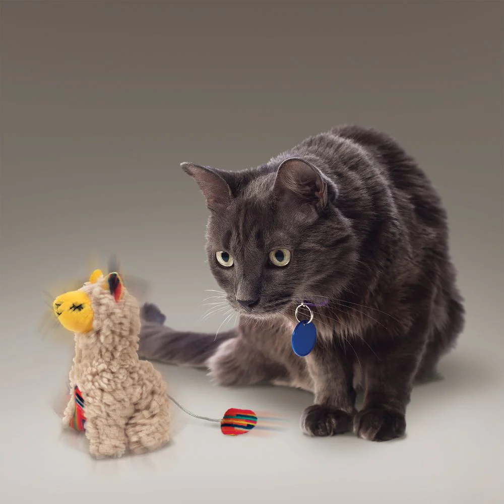 Kong Softies Buzzy Llama Cat Toy - Suhuit