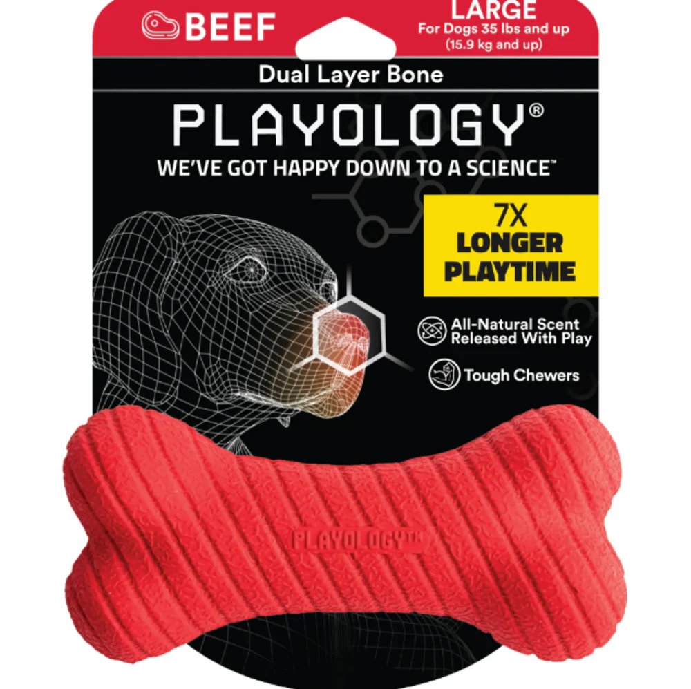 Playology Dual Layer Bone Beef Scented Dog Toy - Suhuit