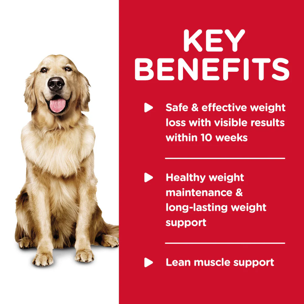 Hill's Science Diet Adult Perfect Weight Chicken & Vegetable Entree Canned Dog Food - Suhuit